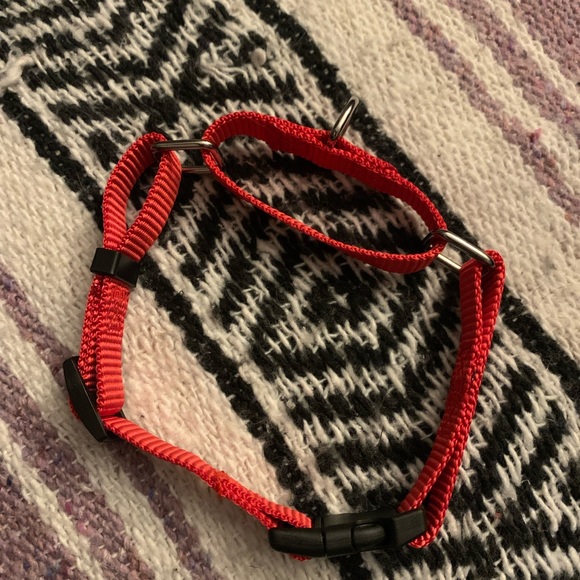 Dog collar new and adjustable - Picture 1 of 4
